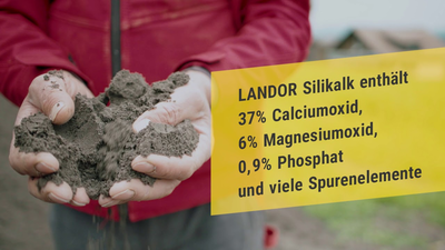 Video link: Silikalk - der silikatische Mehrwirkungskalk