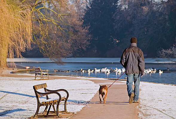 Promeneur avec son chien au bord d'un lac dans un paysage enneigé.