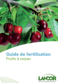 Aperçu du PDF : Brochure fruits à noyau