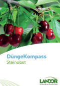 Vorschau PDF: Düngerkompass Steinobst